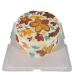 Floral Painted Cake